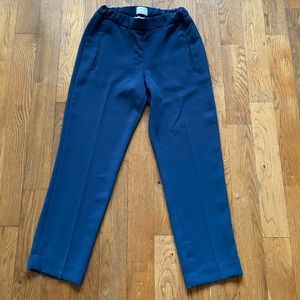 Aritzia Wilfred Blue Pant